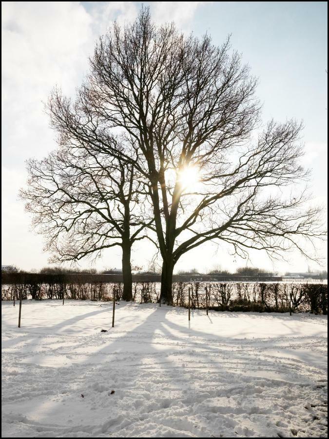 Rooseboom22 Bed & Breakfast Aartrijke Bagian luar foto