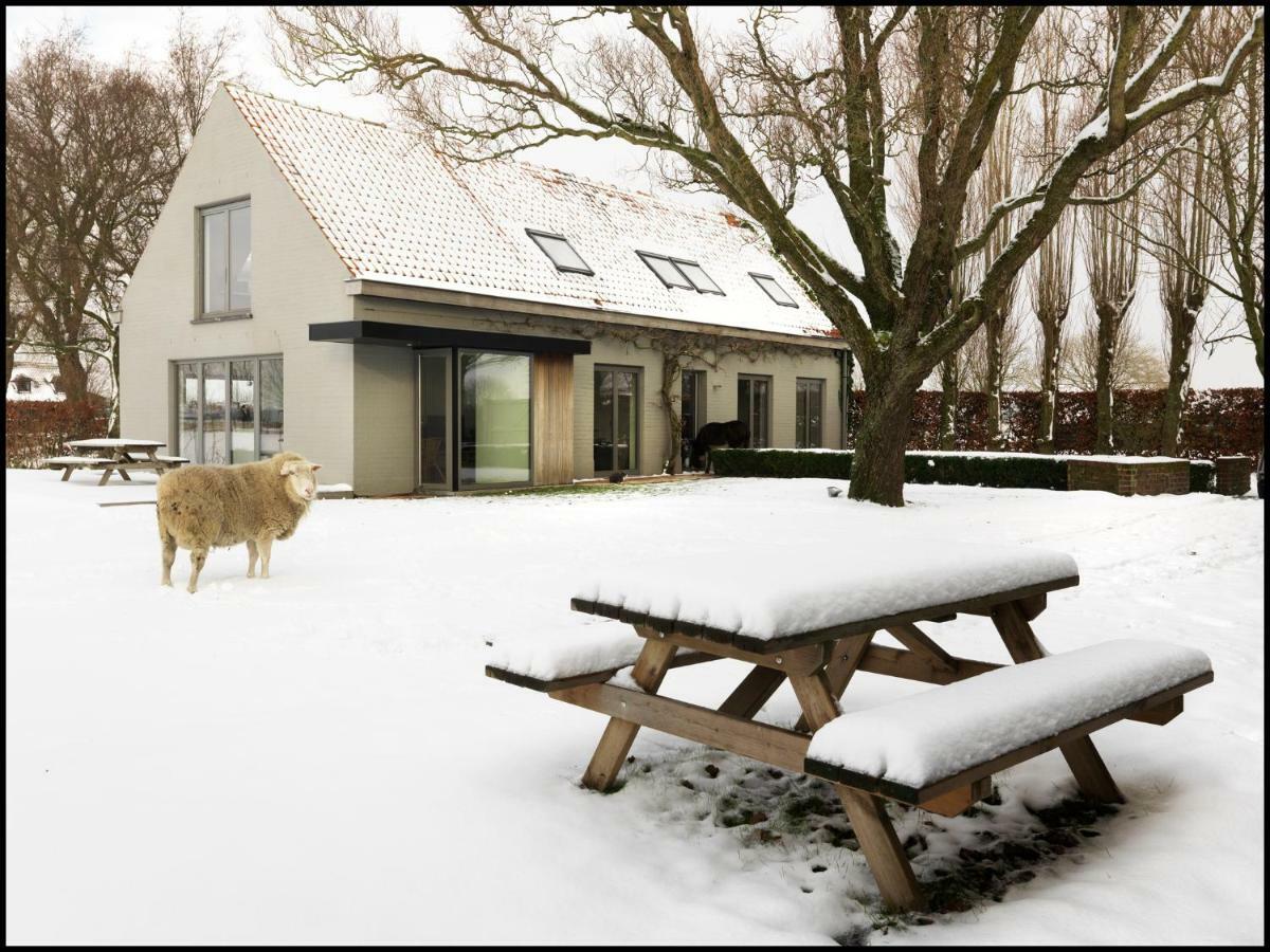 Rooseboom22 Bed & Breakfast Aartrijke Bagian luar foto