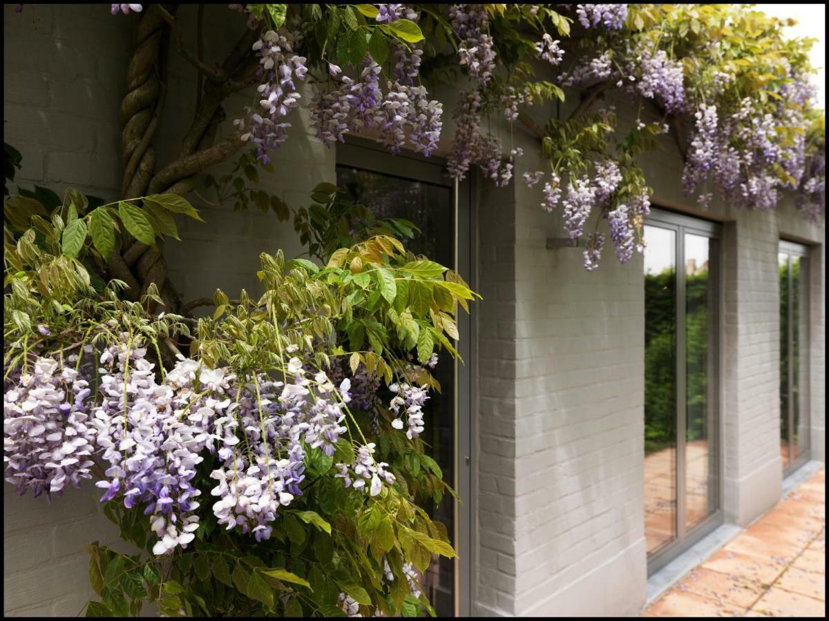 Rooseboom22 Bed & Breakfast Aartrijke Bagian luar foto