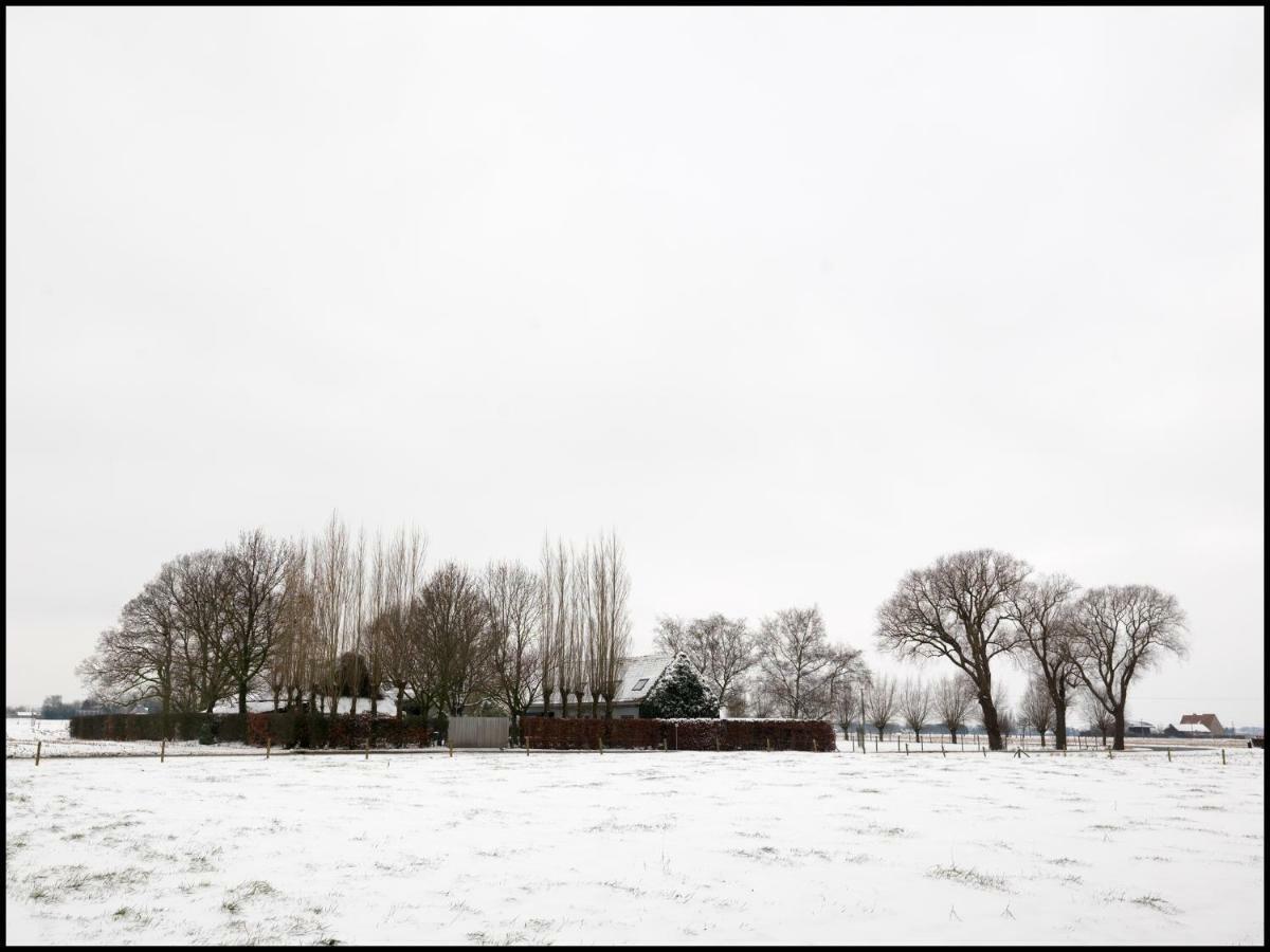 Rooseboom22 Bed & Breakfast Aartrijke Bagian luar foto