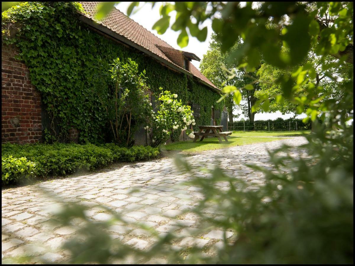 Rooseboom22 Bed & Breakfast Aartrijke Bagian luar foto