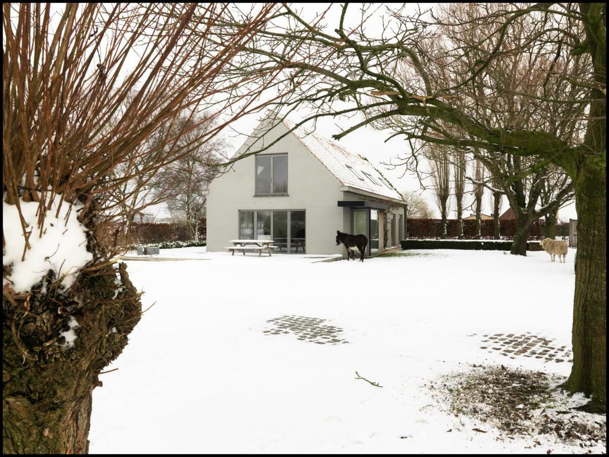 Rooseboom22 Bed & Breakfast Aartrijke Bagian luar foto