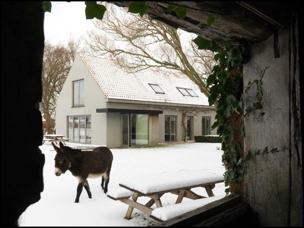 Rooseboom22 Bed & Breakfast Aartrijke Bagian luar foto