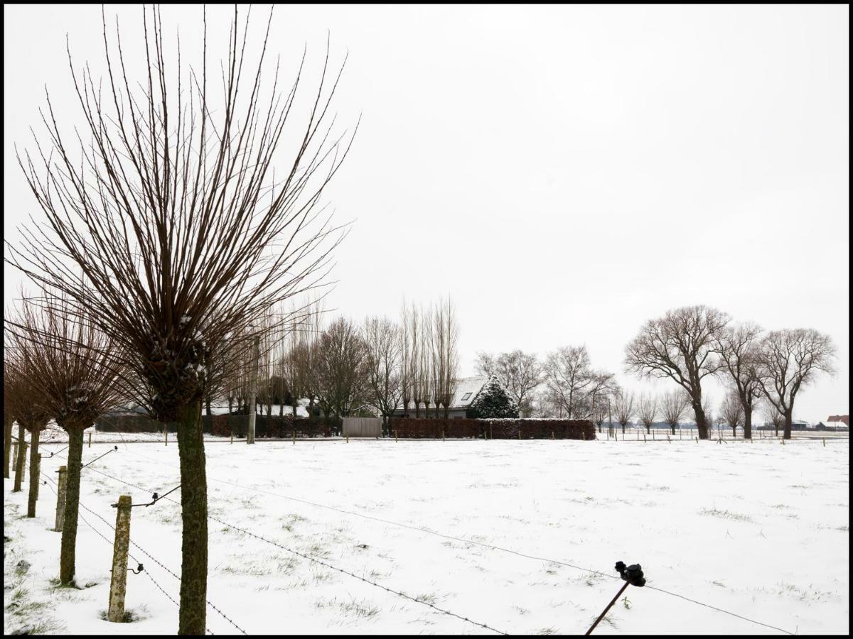 Rooseboom22 Bed & Breakfast Aartrijke Bagian luar foto
