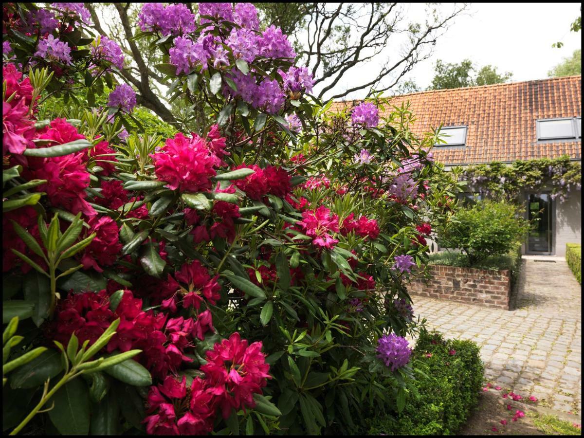 Rooseboom22 Bed & Breakfast Aartrijke Bagian luar foto