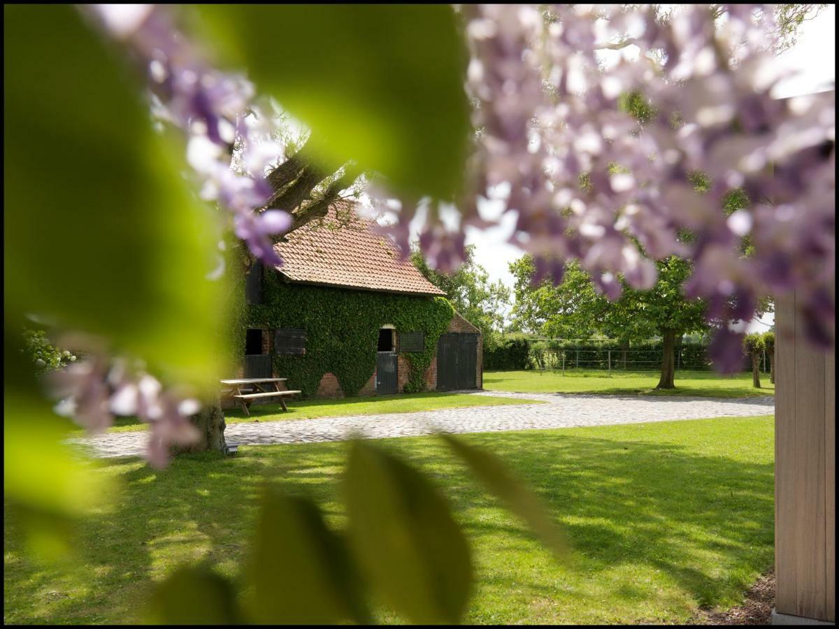 Rooseboom22 Bed & Breakfast Aartrijke Bagian luar foto